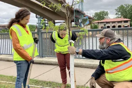Staff Planting with City Council President Rebecca Noecker